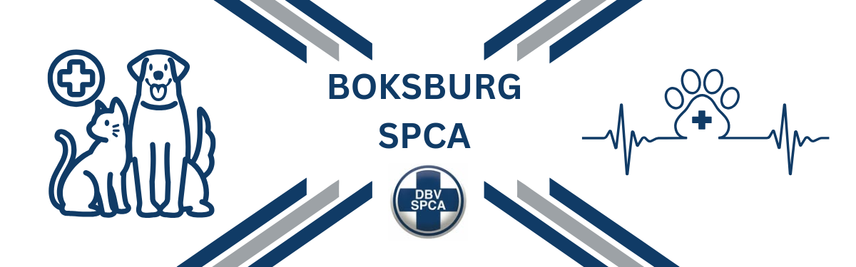 BOKSBURG SPCA