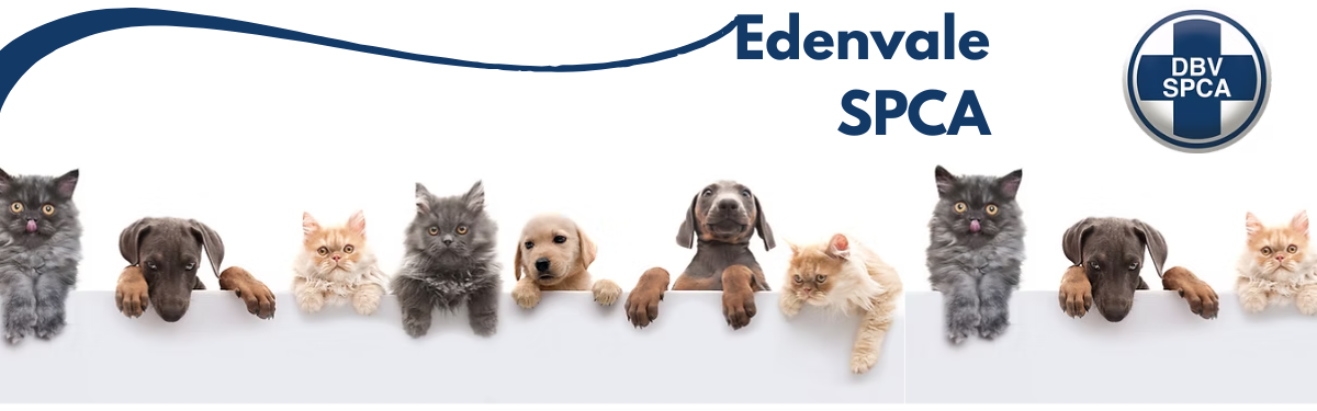 Edenvale SPCA