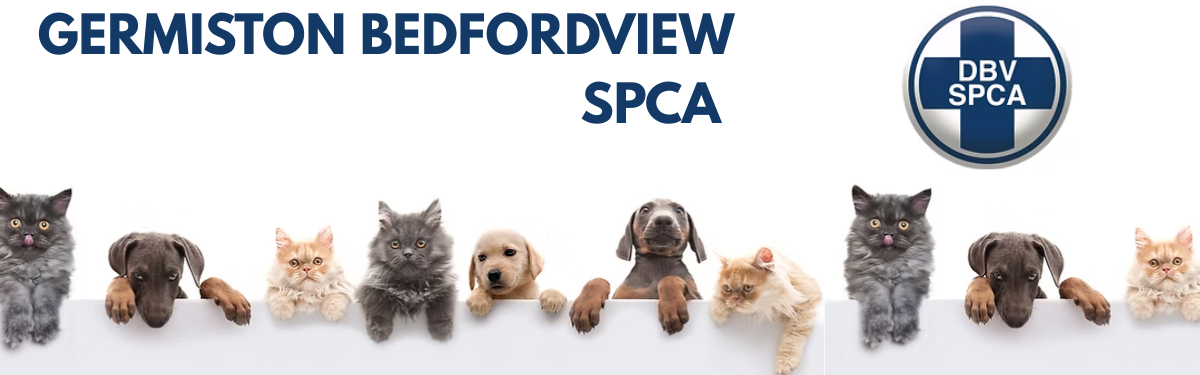 GERMISTON BEDFORDVIEW SPCA More Info